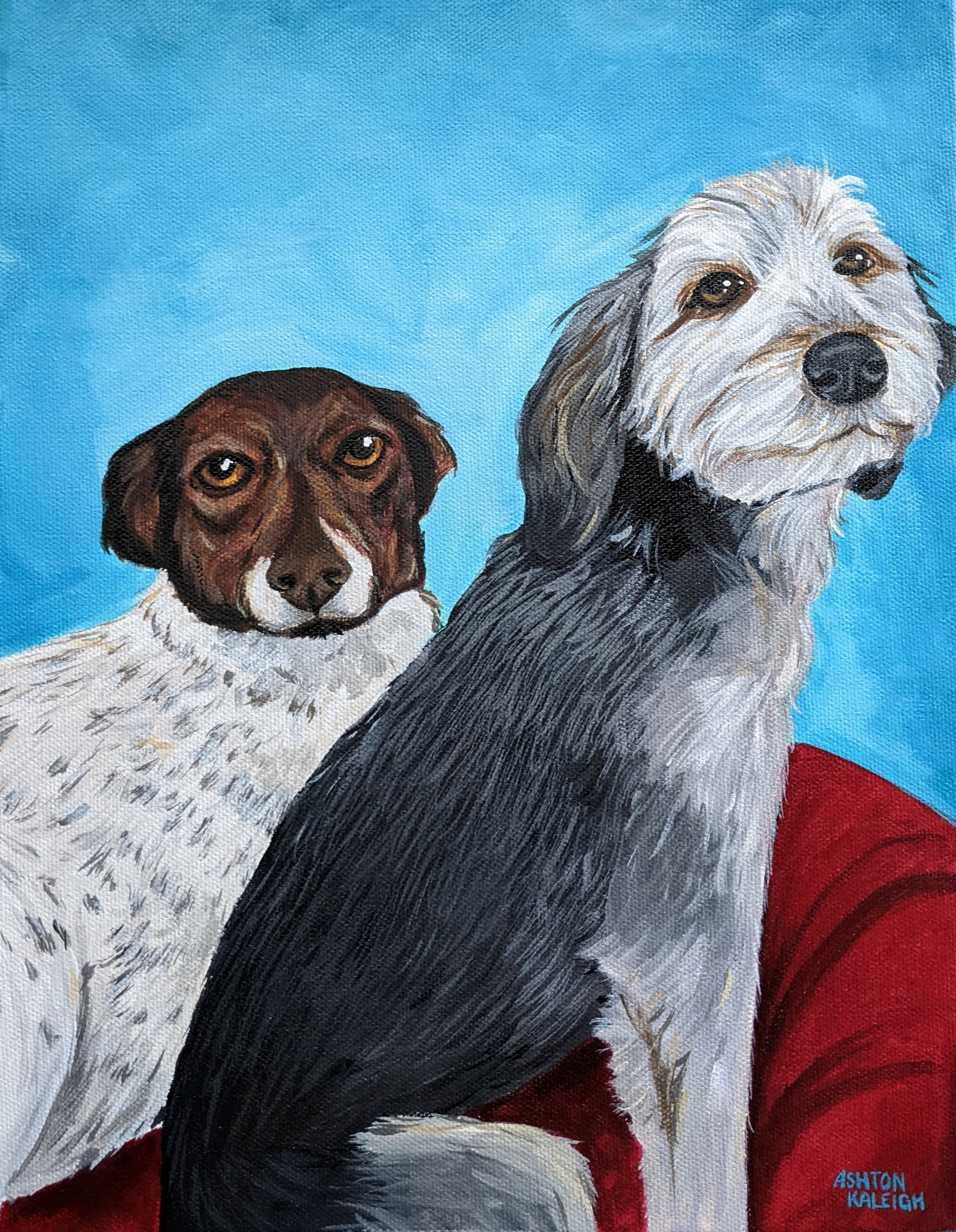 Pet Portraits